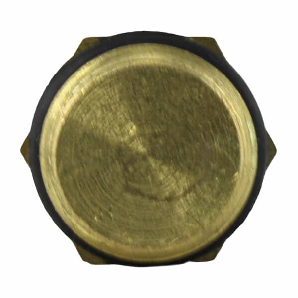 TS2786 - Imagen 3