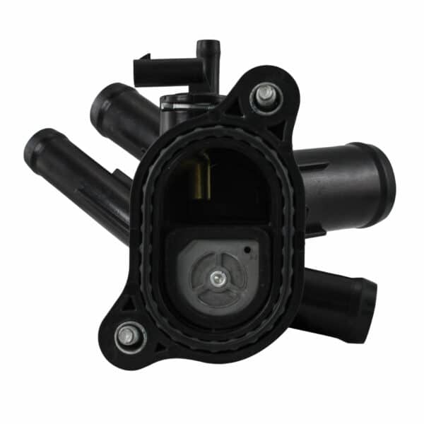 WF0334 - Imagen 3