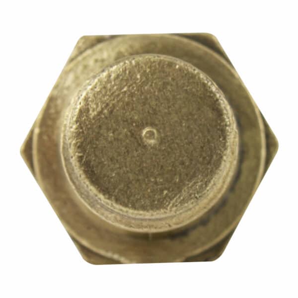 WS2502 - Imagen 3