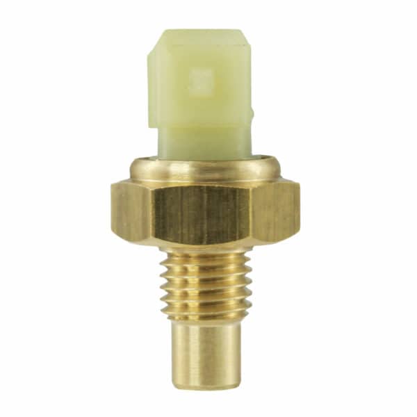 WS2584 - Imagen 6