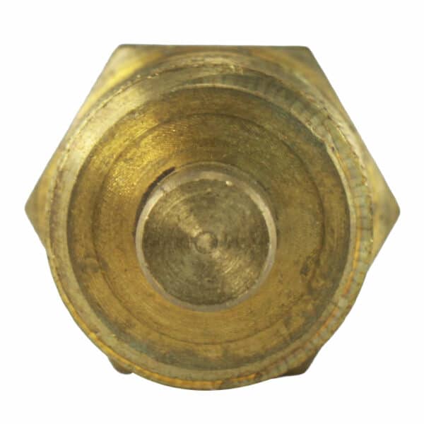 WS2666 - Imagen 2