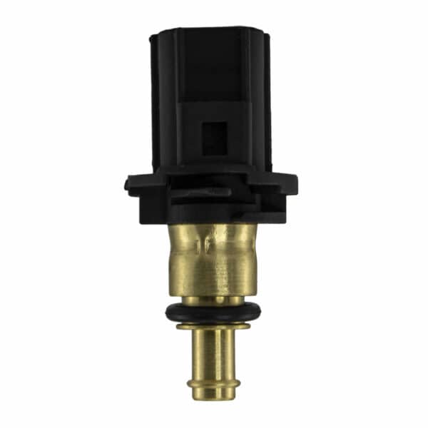 WS3083 - Imagen 4