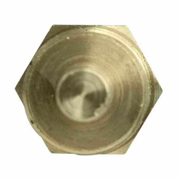 WS3179 - Imagen 3
